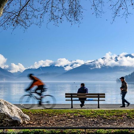 Les Mouettes Du Lac N2 - Grand Studio 500 M From Lake Annecy Bagian luar foto