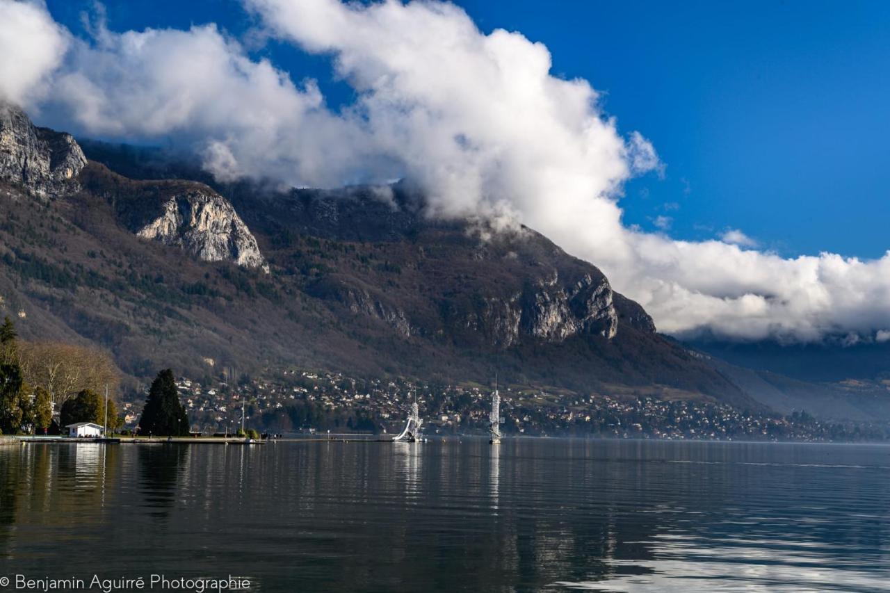 Les Mouettes Du Lac N2 - Grand Studio 500 M From Lake Annecy Bagian luar foto